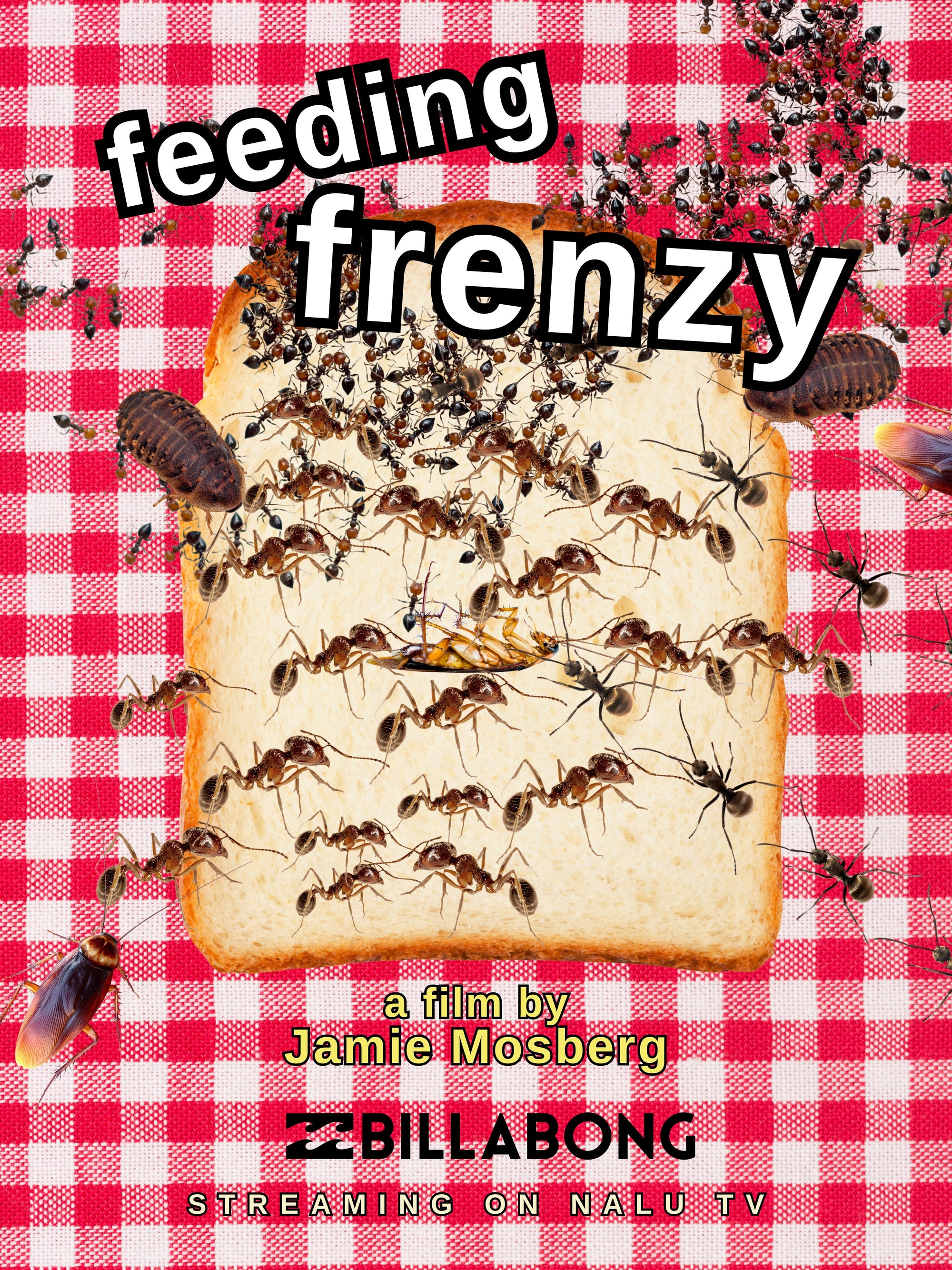 surf film coverart for 'feeding frenzy' with ants on toast and Billabong logo.