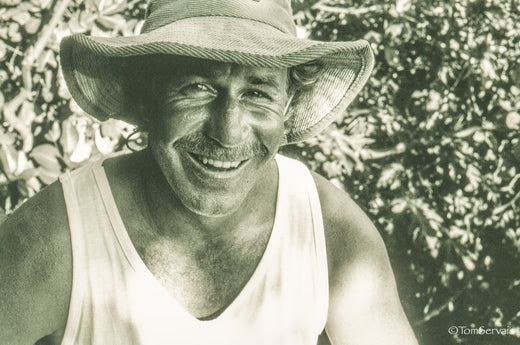Larry Haynes, Larry by Tom Servais